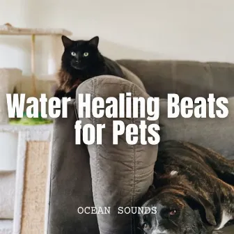 Ocean Sounds: Water Healing Beats for Pets by Ocean Wave