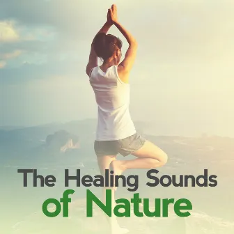 The Healing Sounds of Nature by Unknown Artist