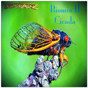 Cicada by Biomin H