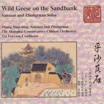 Wild Geese On the Sandbank: Sanxian and Ruan Solos by Fei-yun Xia