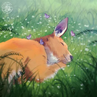 Sleeping Roo by Unknown Artist