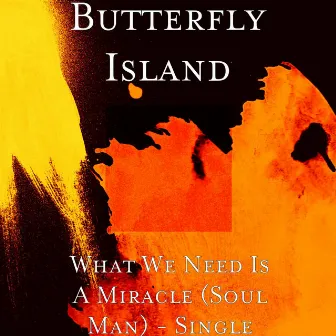 What We Need Is A Miracle (Soul Man) - Single by Butterfly Island