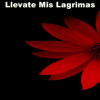 Llevate Mis Lagrimas by Manny Jhovanny