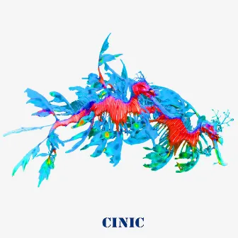 해마 by CINIC