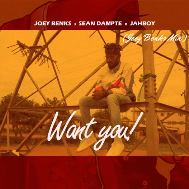 Want You - Joey Benks Mix