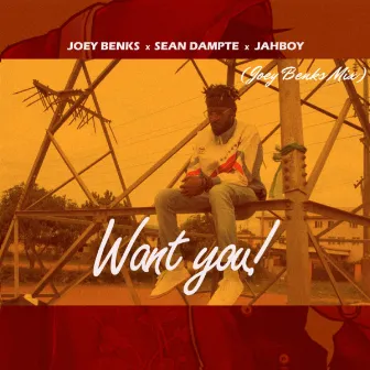 Want You (Joey Benks Mix) by Joey Benks