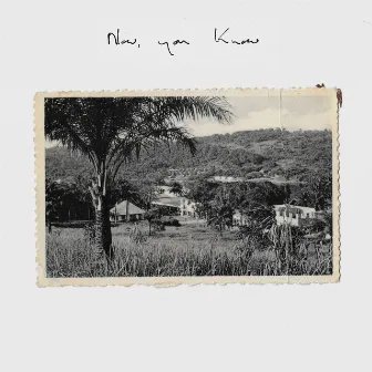 Now, You Know by Rosie Lowe