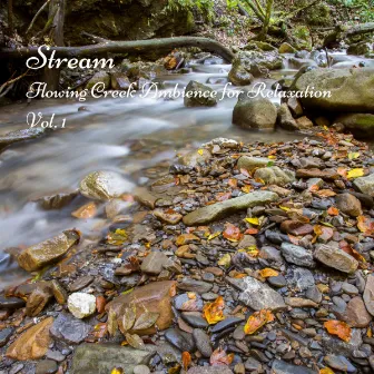 Stream: Flowing Creek Ambience for Relaxation Vol. 1 by Baby Yoda