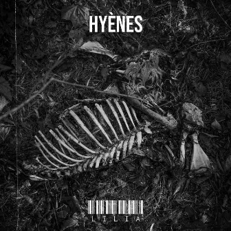 Hyènes by Lilia