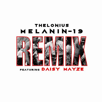 Melanin-19 (Remix) by Thelonius