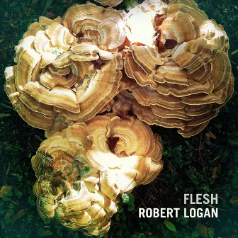 Flesh by Robert Logan