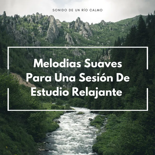 Sonido De Un Río Calmo: Melodias Suaves Para Una Sesión De Estudio Relajante