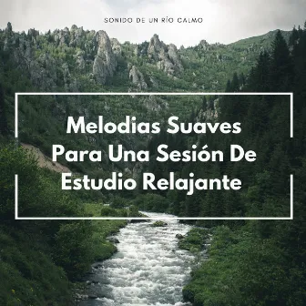 Sonido De Un Río Calmo: Melodias Suaves Para Una Sesión De Estudio Relajante by Aguas del diluvio