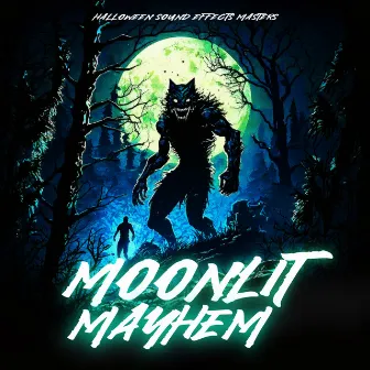 Moonlit Mayhem by Unknown Artist