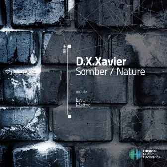 Somber / Nature by D.X.Xavier