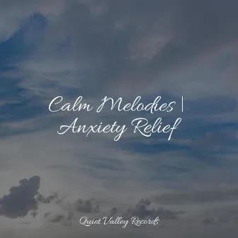 Calm Melodies | Anxiety Relief by Rain and Nature