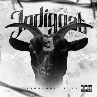 Indigoat 3 by CashBandit Tune