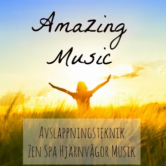 Amazing Music - Avslappningsteknik Zen Spa Hjärnvågor Musik för Chakra Terapi Helande Massage Sömncykel med Instrumental Romantisk Piano Lugnande Ljud by Natural Sleep Remedies Oasis