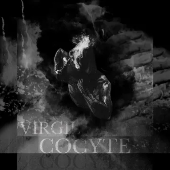 Cocyte by Virgil