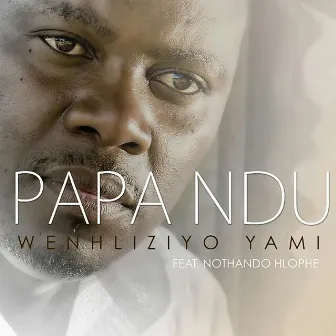 We Nhliziyo Yami (feat. Nothando Hlophe) by Papa Ndu