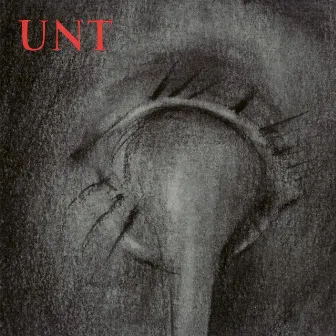 Fifty Tons Of Black Terror by UNT