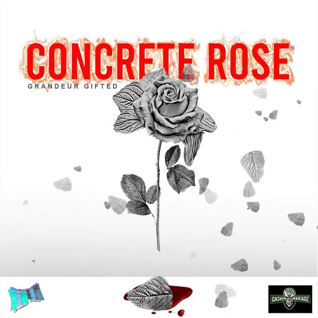 Concrete Rose