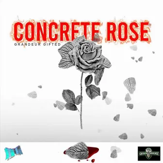 Concrete Rose by Grandeur Gifted