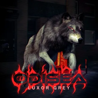 Odisea by Luxor Grey