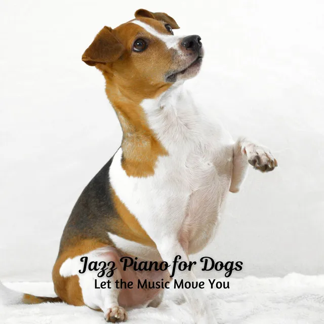 Dog Jazz Songs