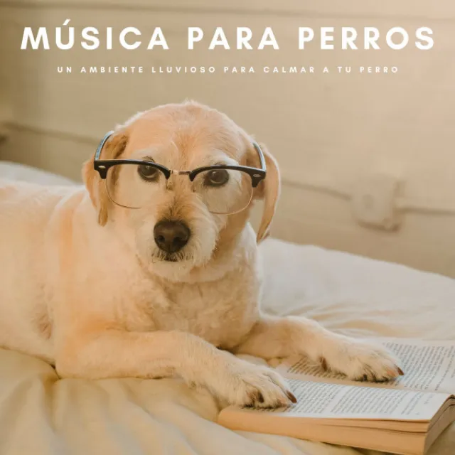 Buena musica para perros