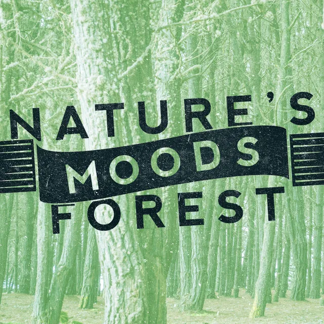 Nature's Moods: Forest