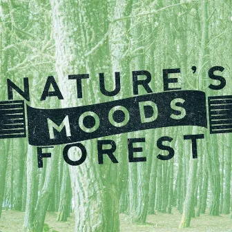 Nature's Moods: Forest by The Calming Sounds Of Nature