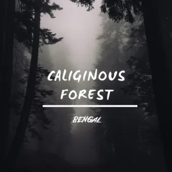 Caliginous Forest by Bengal