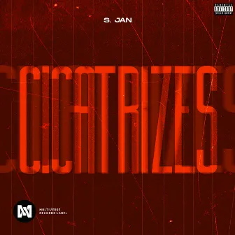 Cicatrizes by S. Jan