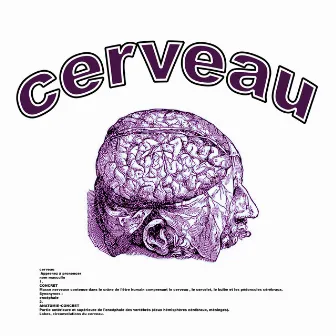 Cerveau by K0UK0U