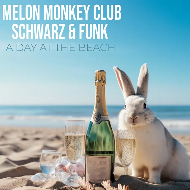 A Day at the Beach - Schwarz & Funk Remix