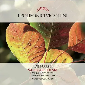 Musica e Poesia: La musica di Bepi De Marzi per coro e orchestra by I Polifonici Vicentini