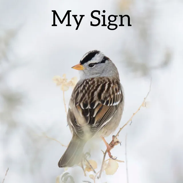 My Sign