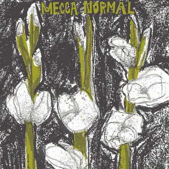 Mecca Normal by Mecca Normal