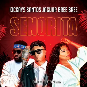 Señorita by Kickays