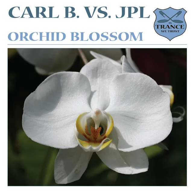 Orchid Blossom - This Mix