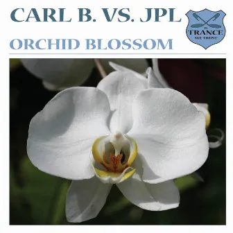 Orchid Blossom by Carl B.