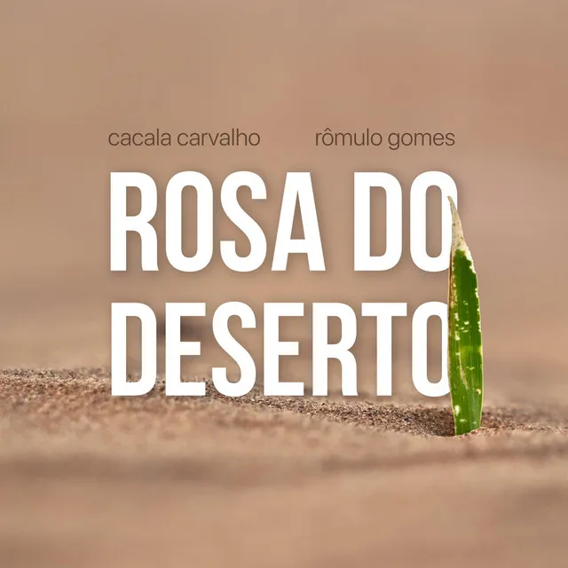 Rosa do Deserto