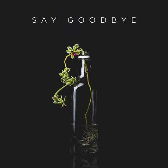 Say Goodbye