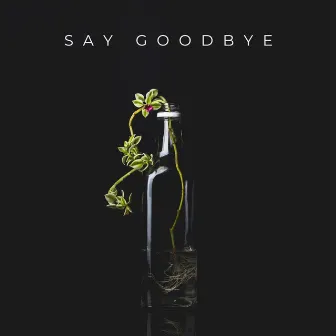 Say Goodbye by Unknown Prophets