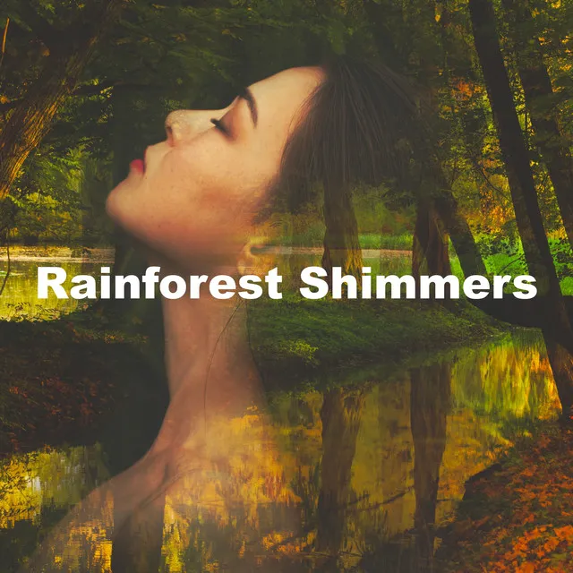 Rainforest Shimmers