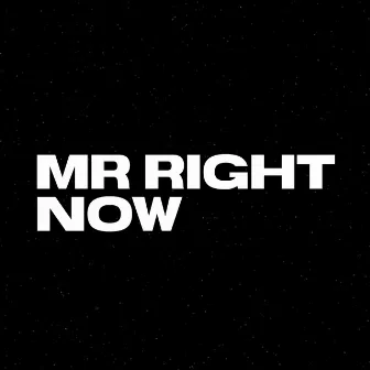 Mr. Right Now by Ty March.