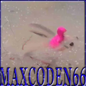 MAXCODEN66 by dwxd