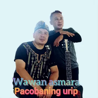 Pacobane Urip by Wawan Asmara