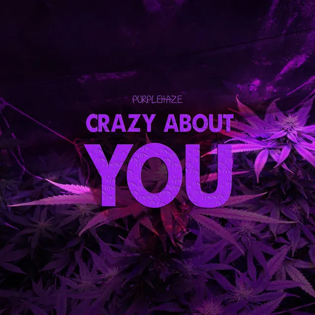 Crazy About You